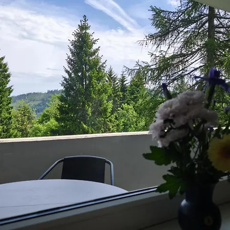 Hochdrei - Hahnenklee *